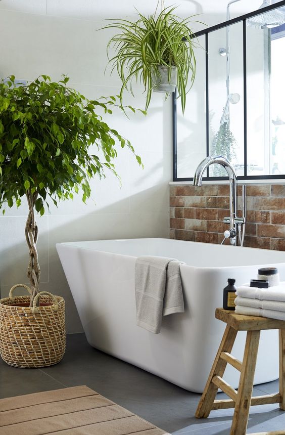 casa de banho com plantas